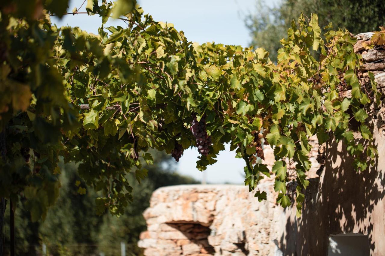 Dimora Spierti Διαμέρισμα Carovigno Εξωτερικό φωτογραφία