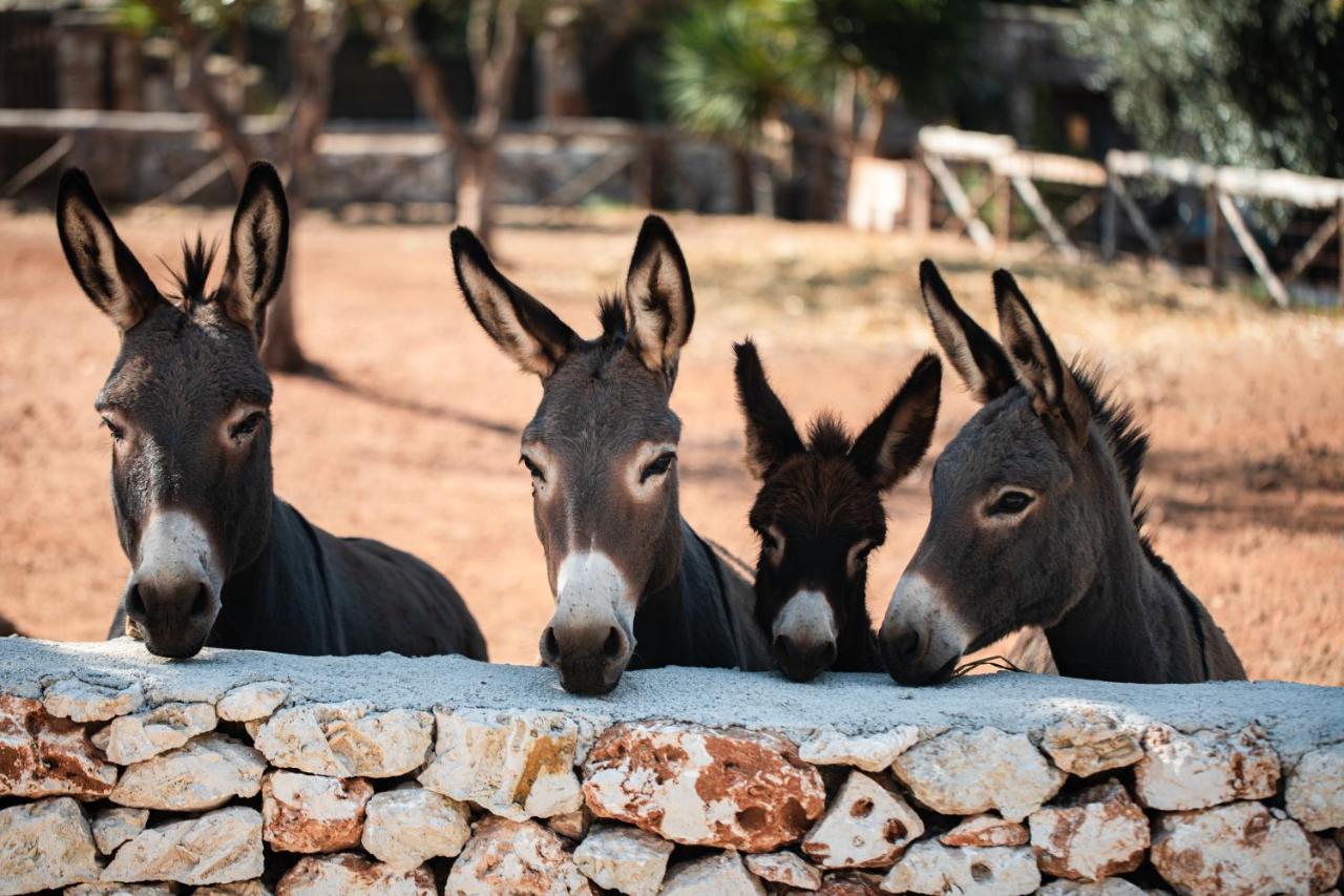 Dimora Spierti Διαμέρισμα Carovigno Εξωτερικό φωτογραφία